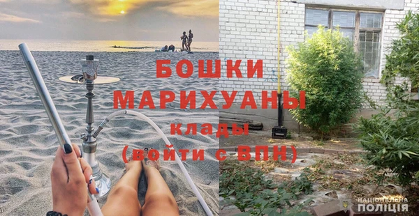 шишки Богородицк